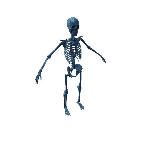 Ice_Skeleton Variant